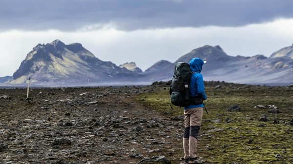 Où pratiquer le snorkeling au milieu des raies manta à Hawaii ?