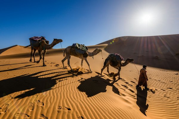 Où découvrir les traditions de la culture touareg au Sahara?